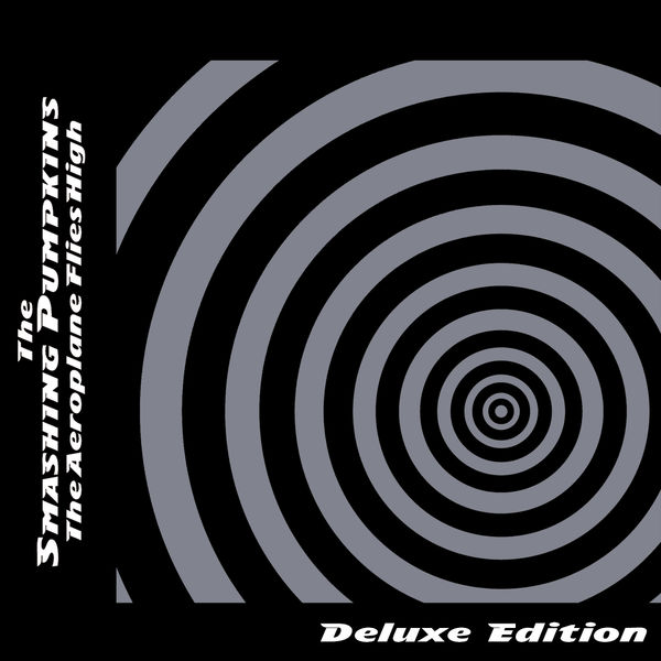 File:The Smashing Pumpkins -The Aeroplane Flies High - vinyl cover.jpg